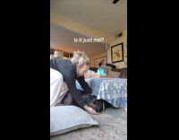 Woman places pillow under head of dog