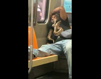 Collab Subway Creatures - Man sleeping with snake on train 