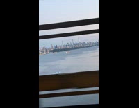 Woman cursing happy to see New York