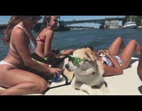 Labrador Wears Glasses On Boat next to Women