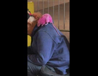 Man sits on sidewalk with pink rat on his shoulder 