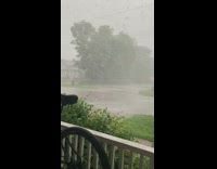 Collab DailyDoseOfInternet - Ontario Canada heavy storm winds tree bike