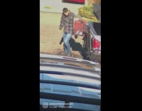 Man hits head on back of truck