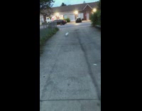Guy tell rabbit to slow down street