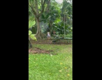 Woman in black bikini poses beside the tree in the forest park