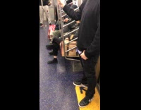 Dog inside bag moves and barks in train