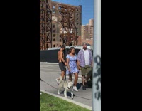 Black shorts guy phone tall stand park 