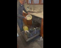 Dad compares girl living in new york city