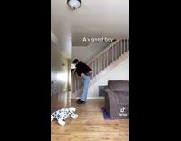 Collab Kale Salad IG -  Girl gives dog a piggyback ride