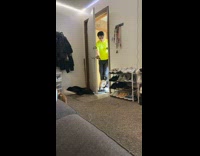 Collab Clips mpugc - Cat attempts escape caught in legs