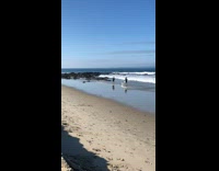 Collab Kook Of The Day - two guys fishing in middle of competition 