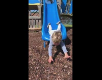 Little boy blue playground slide scorpion face