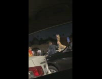 Toy giraffe photoshoot on car