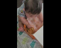 Little baby ripping up fried chicken box 