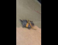 Girl pet turtle on leash inside store