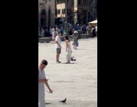 Collab IITW - Couple tiktok video middle of the park