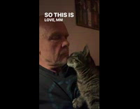 Tabby cat rub chin of old man