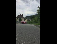 Chubby grey cat runs toward camera 