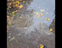 Clogged drainage leaks water on the street