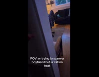 Cat snitching on woman trying to scare boyfriend