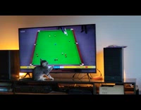 Kitten trying to get the billiard balls on tv