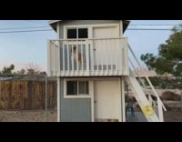Guy carries dog down white ladder backyard 