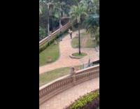 Man shiny vest dances at the park