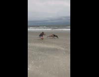 Woman black shirt hand stand beach pictorial