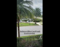 Collab ClipsIG - Woman taped camera at railing for hurricane 