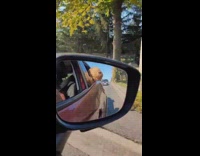 Dog sticks head out of car window