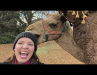 Camel bite take beanie hat of woman