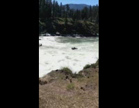 Boat goes upstream against river rapids