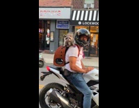 Guy rides motorcycle with raccoon on back 