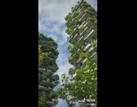Tower buildings with plants growing around it 