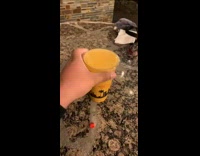 Collab FunBestVids - Straw through lid fail black sweater girl 