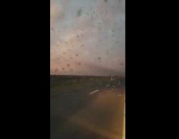 insects birds flooding surrounding sky