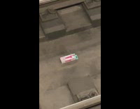 Curb your tortoise on the street 