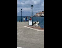 Collab IITW - Man and Woman dances together by the ocean while another man films