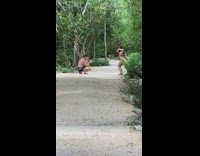 Woman beige bikini weird dance beach forest