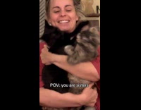 Collab Clips MPUGC - Woman forcing cats to love each other