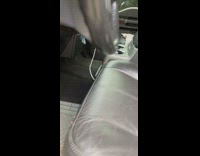 Collab BitchMP - Dog sleeping in drivers seat of car moves