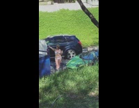 Woman white bikini posing green lambo