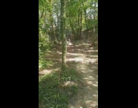 Little boy screams before losing control of bicycle 