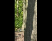 Yellow flower crown skirt bouquet girl car