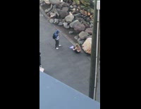 Blue mermaid tail photoshoot ocean rocks pt. 2