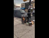 Collab WINY - Trashcan burning on sidewalk