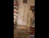 Man dances with dog opens door dominos