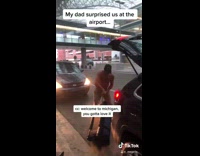 Michigan dad picks up family from airport shirtless