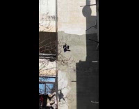 Man shows baby gorilla hanging on tree