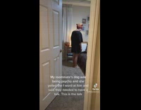 GIrl in room talking to dog apologizes to it 